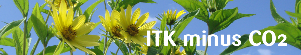 ITK-minus-CO2.de